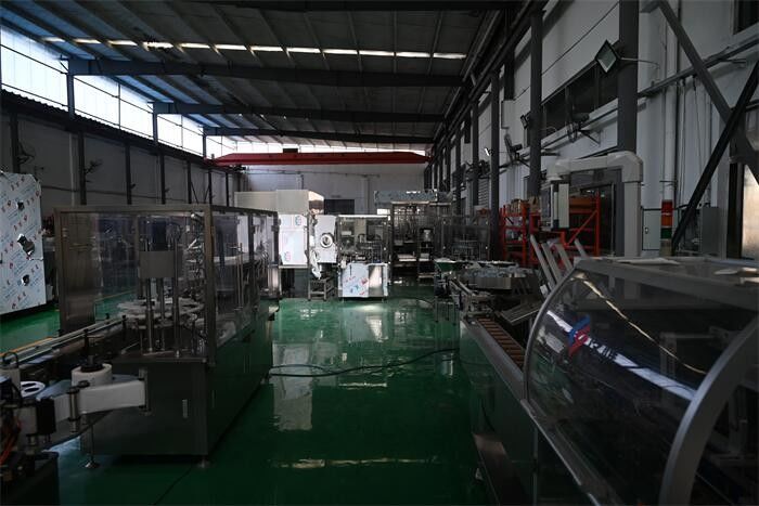 Suzhou Lingyao Intelligent Equipment Co., Ltd. 製造者の生産ライン