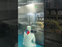 自動詰め込み・蓋付け機 100~200BPM生産性GMP基準を満たす