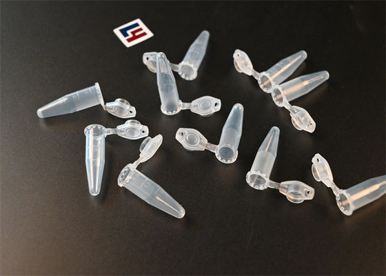 買う 酵素動力学 0.1 Ml PCRチューブ ポリプロピレン マイクロフュージチューブ オンライン製造